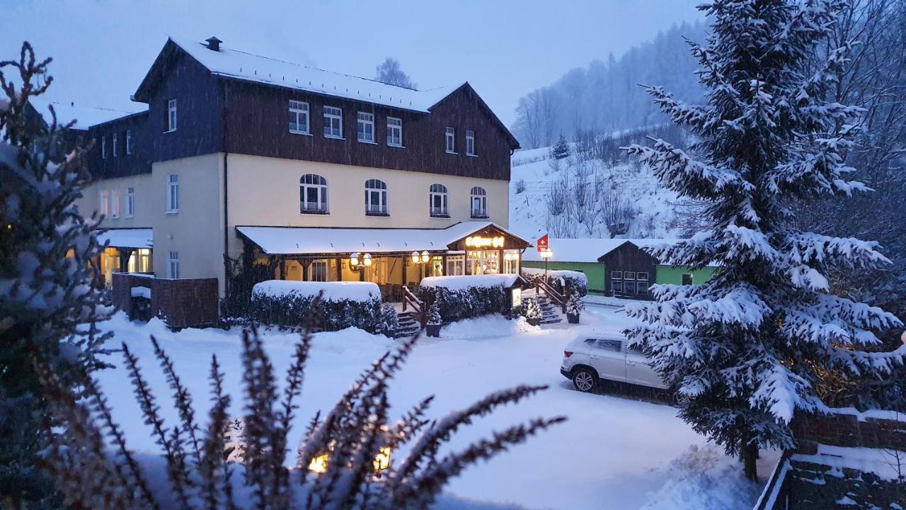 Hotel Seiffener Hof*** Екстериор снимка